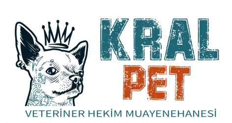 Kral Pet Veteriner Hekim Muayenehanesi logosu